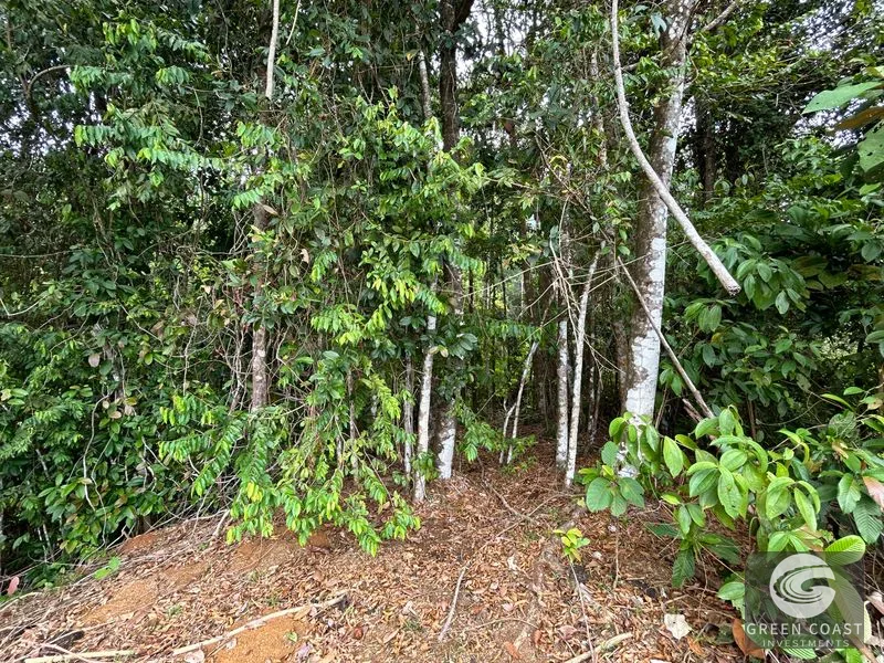 74-Acre Hatillo Highlands Estate: Private Nature Sanctuary with Ocean Views & Development Potential — view 18, Dominical, Costa Rica