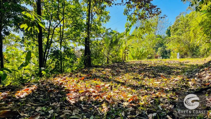 Mountain View Lot in Tres Ríos: Build Your Costa Rican Dream Home — view 14, Tres Ríos, Tres Ríos, Costa Rica