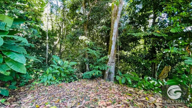 Mountain View Lot in Tres Ríos: Build Your Costa Rican Dream Home — view 15, Tres Ríos, Tres Ríos, Costa Rica