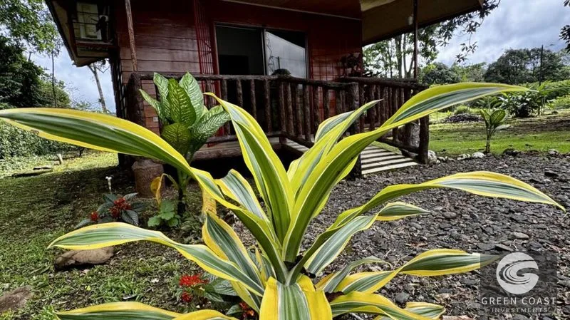 Nature Retreat Near La Fortuna: Furnished Cabin with Airbnb Potential — view 7, La Tigra, San Carlos, Costa Rica