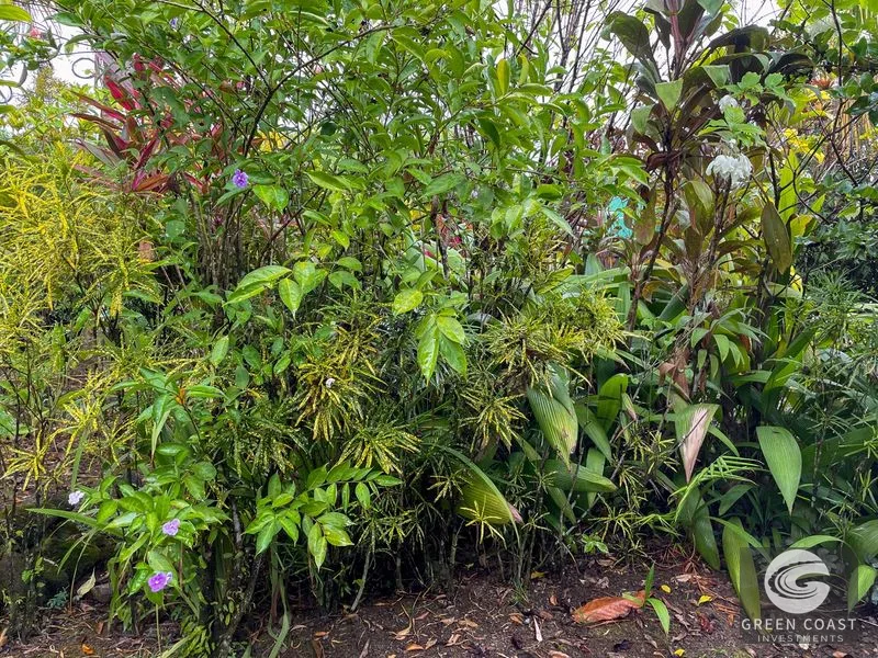 Ojochal Oasis: Private Home, Lush Gardens & Prime Commercial Development Opportunity — view 28, Ojochal, Ojochal, Costa Rica