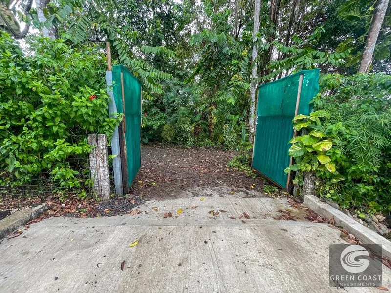 Ojochal Oasis: Private Home, Lush Gardens & Prime Commercial Development Opportunity — view 30, Ojochal, Ojochal, Costa Rica