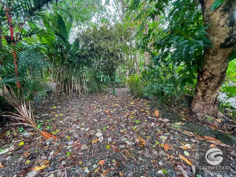 Ojochal Oasis: Private Home, Lush Gardens & Prime Commercial Development Opportunity — view 31, Ojochal, Ojochal, Costa Rica