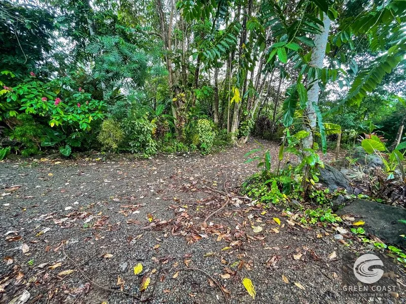 Ojochal Oasis: Private Home, Lush Gardens & Prime Commercial Development Opportunity — view 33, Ojochal, Ojochal, Costa Rica