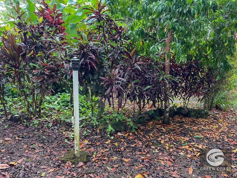 Ojochal Oasis: Private Home, Lush Gardens & Prime Commercial Development Opportunity — view 35, Ojochal, Ojochal, Costa Rica