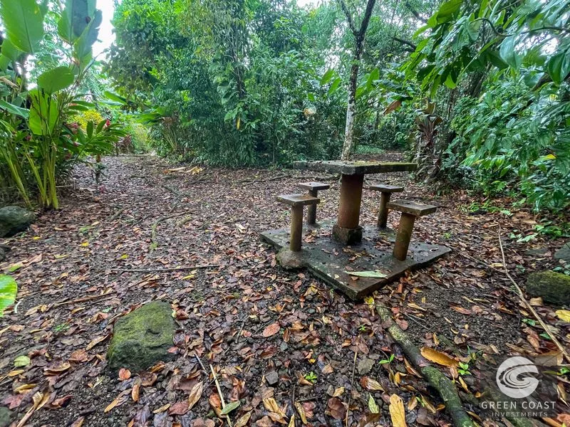 Ojochal Oasis: Private Home, Lush Gardens & Prime Commercial Development Opportunity — view 37, Ojochal, Ojochal, Costa Rica