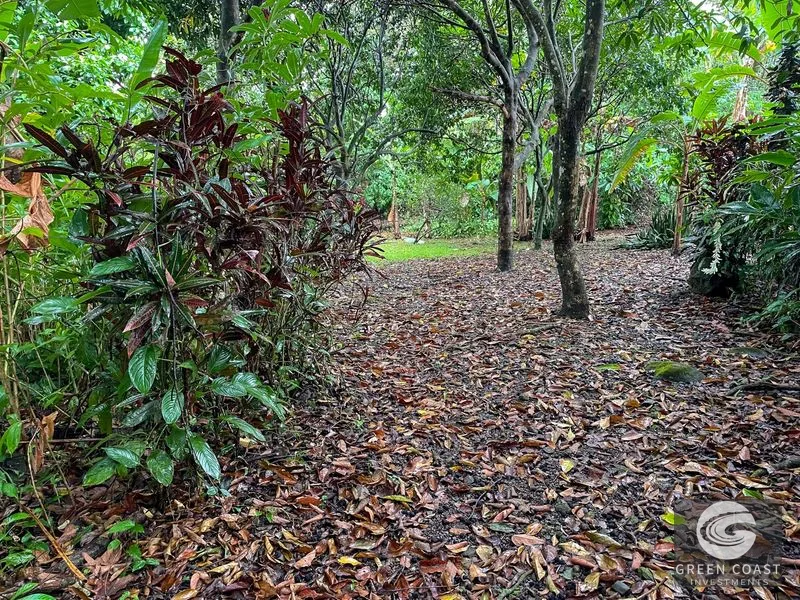 Ojochal Oasis: Private Home, Lush Gardens & Prime Commercial Development Opportunity — view 38, Ojochal, Ojochal, Costa Rica