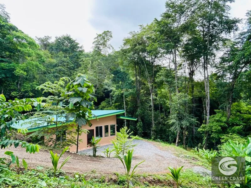 Jungle Oasis Near Uvita: Private Home with Development Potential & Wildlife — view 11, Uvita, Osa, Costa Rica