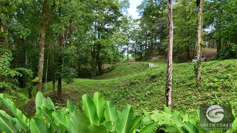 Jungle Oasis Near Uvita: Private Home with Development Potential & Wildlife — view 12, Uvita, Osa, Costa Rica
