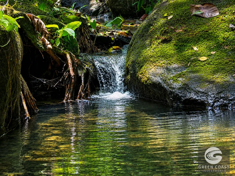 Jungle Oasis Near Uvita: Private Home with Development Potential & Wildlife — view 13, Uvita, Osa, Costa Rica