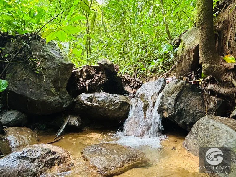 Jungle Oasis Near Uvita: Private Home with Development Potential & Wildlife — view 14, Uvita, Osa, Costa Rica