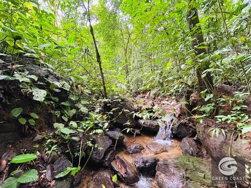 Jungle Oasis Near Uvita: Private Home with Development Potential & Wildlife — view 15, Uvita, Osa, Costa Rica