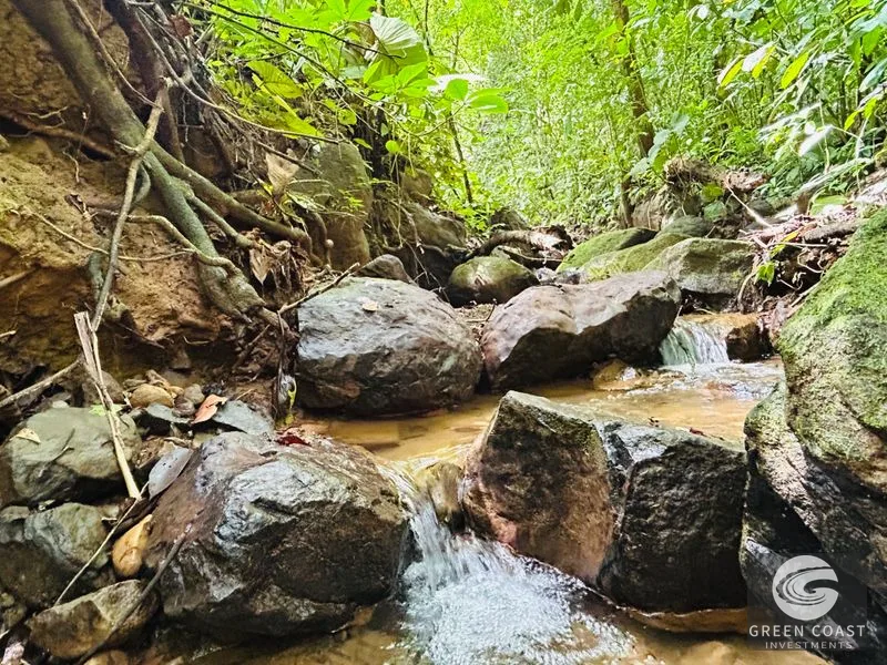 Jungle Oasis Near Uvita: Private Home with Development Potential & Wildlife — view 16, Uvita, Osa, Costa Rica