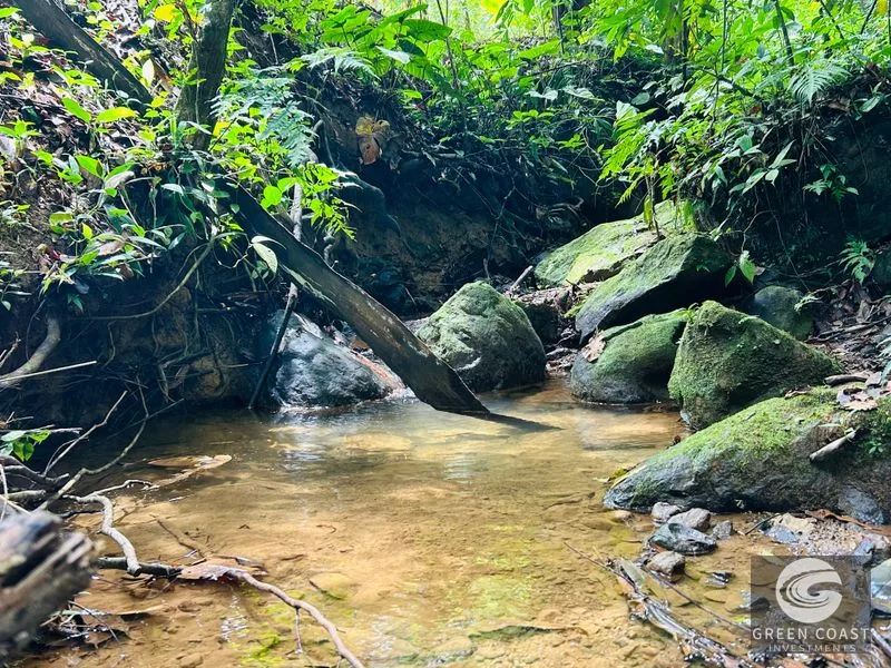 Jungle Oasis Near Uvita: Private Home with Development Potential & Wildlife — view 17, Uvita, Osa, Costa Rica