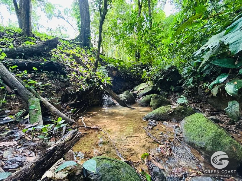 Jungle Oasis Near Uvita: Private Home with Development Potential & Wildlife — view 18, Uvita, Osa, Costa Rica