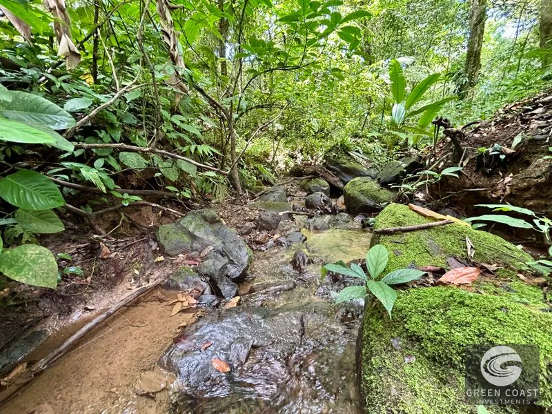 Jungle Oasis Near Uvita: Private Home with Development Potential & Wildlife — view 19, Uvita, Osa, Costa Rica