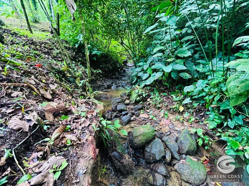 Jungle Oasis Near Uvita: Private Home with Development Potential & Wildlife — view 20, Uvita, Osa, Costa Rica