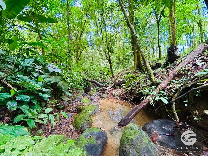 Jungle Oasis Near Uvita: Private Home with Development Potential & Wildlife — view 21, Uvita, Osa, Costa Rica