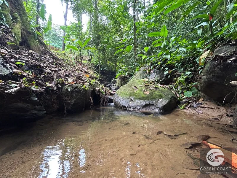 Jungle Oasis Near Uvita: Private Home with Development Potential & Wildlife — view 23, Uvita, Osa, Costa Rica