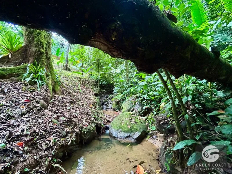 Jungle Oasis Near Uvita: Private Home with Development Potential & Wildlife — view 24, Uvita, Osa, Costa Rica
