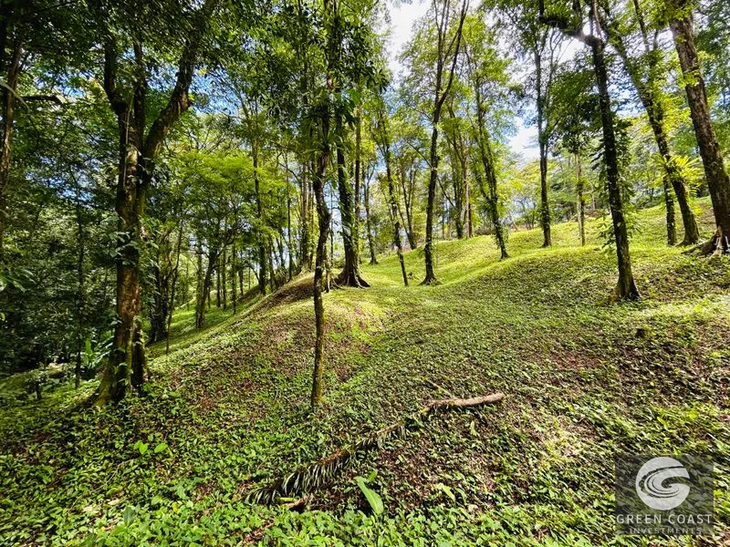Jungle Oasis Near Uvita: Private Home with Development Potential & Wildlife — view 25, Uvita, Osa, Costa Rica