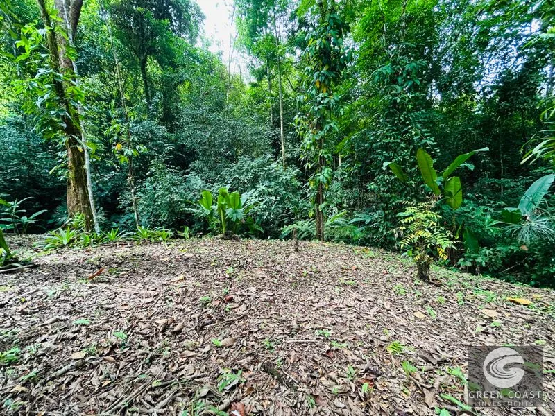 Jungle Oasis Near Uvita: Private Home with Development Potential & Wildlife — view 26, Uvita, Osa, Costa Rica