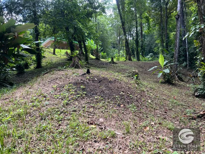 Jungle Oasis Near Uvita: Private Home with Development Potential & Wildlife — view 27, Uvita, Osa, Costa Rica