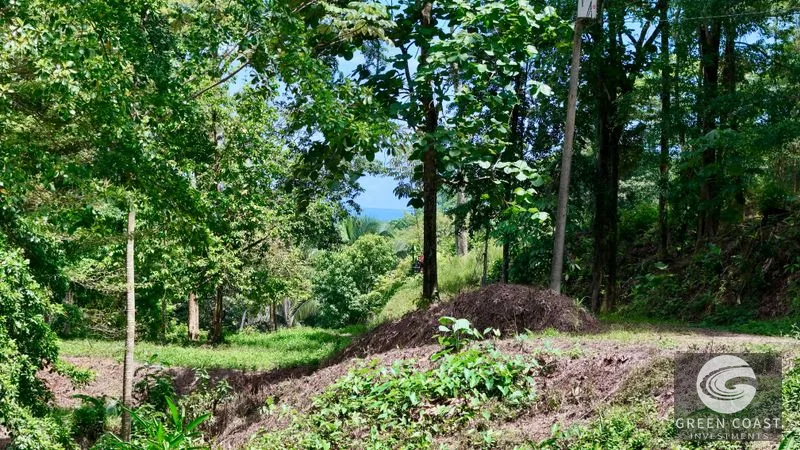 Jungle Oasis Near Uvita: Private Home with Development Potential & Wildlife — view 34, Uvita, Osa, Costa Rica