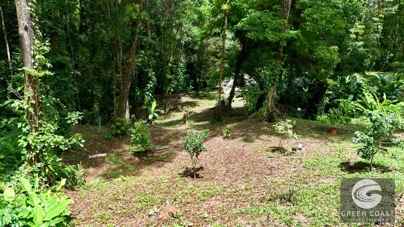 Jungle Oasis Near Uvita: Private Home with Development Potential & Wildlife — view 35, Uvita, Osa, Costa Rica