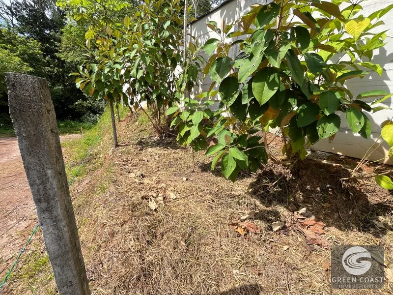 Uvita Dream Lot: Build Your Home or High-Yield Airbnb Near Amenities - Under $200/sqm! — view 4, Uvita, Uvita, Costa Rica