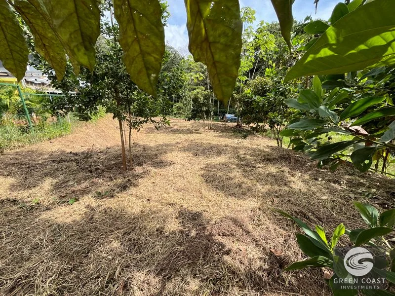Uvita Dream Lot: Build Your Home or High-Yield Airbnb Near Amenities - Under $200/sqm! — view 5, Uvita, Uvita, Costa Rica