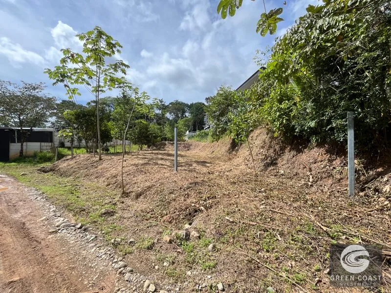 Uvita Dream Lot: Build Your Home or High-Yield Airbnb Near Amenities - Under $200/sqm! — view 6, Uvita, Uvita, Costa Rica