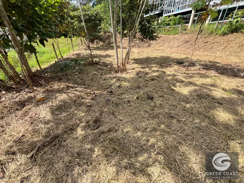 Uvita Dream Lot: Build Your Home or High-Yield Airbnb Near Amenities - Under $200/sqm! — view 8, Uvita, Uvita, Costa Rica