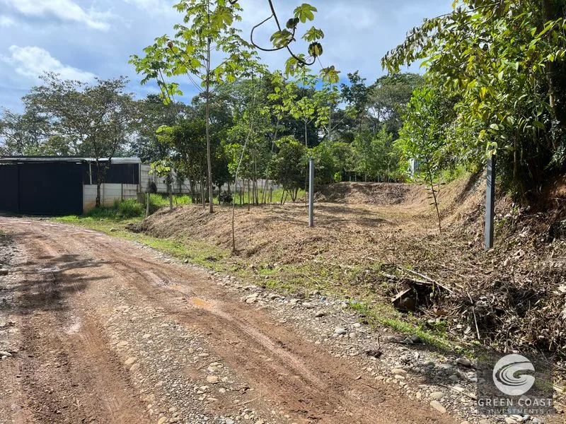 Uvita Dream Lot: Build Your Home or High-Yield Airbnb Near Amenities - Under $200/sqm! — view 9, Uvita, Uvita, Costa Rica