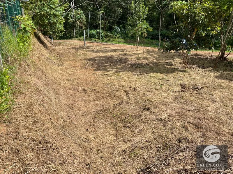 Uvita Dream Lot: Build Your Home or High-Yield Airbnb Near Amenities - Under $200/sqm! — view 10, Uvita, Uvita, Costa Rica