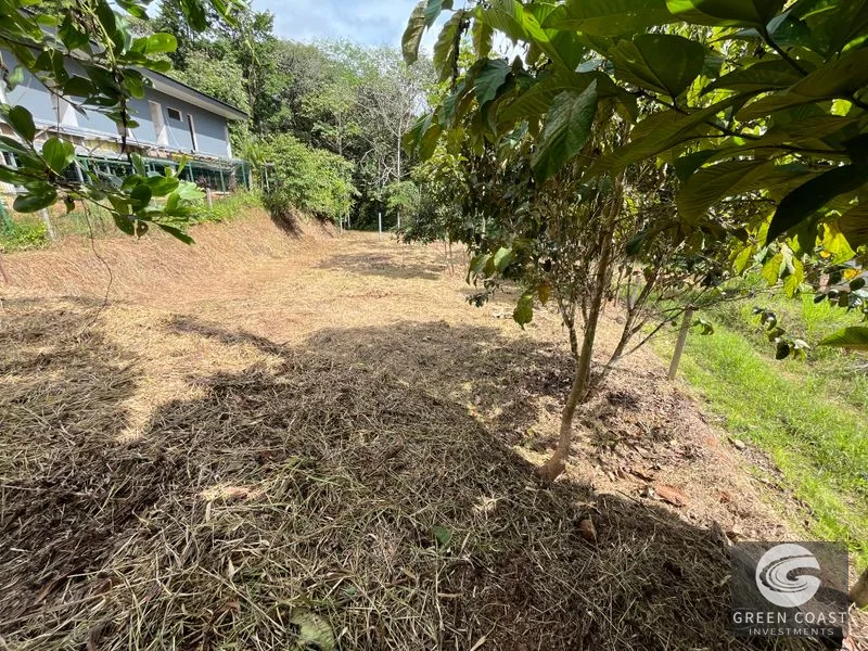 Uvita Dream Lot: Build Your Home or High-Yield Airbnb Near Amenities - Under $200/sqm! — view 11, Uvita, Uvita, Costa Rica