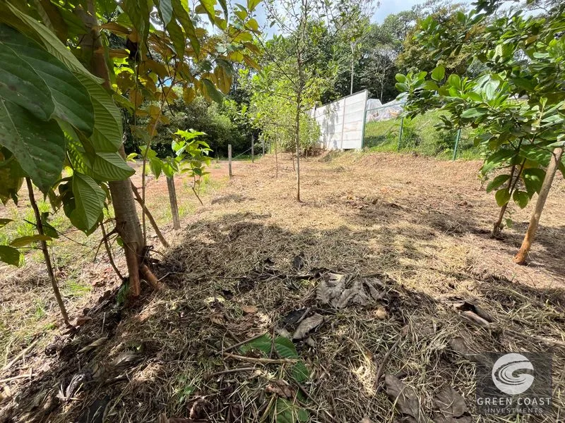 Uvita Dream Lot: Build Your Home or High-Yield Airbnb Near Amenities - Under $200/sqm! — view 12, Uvita, Uvita, Costa Rica