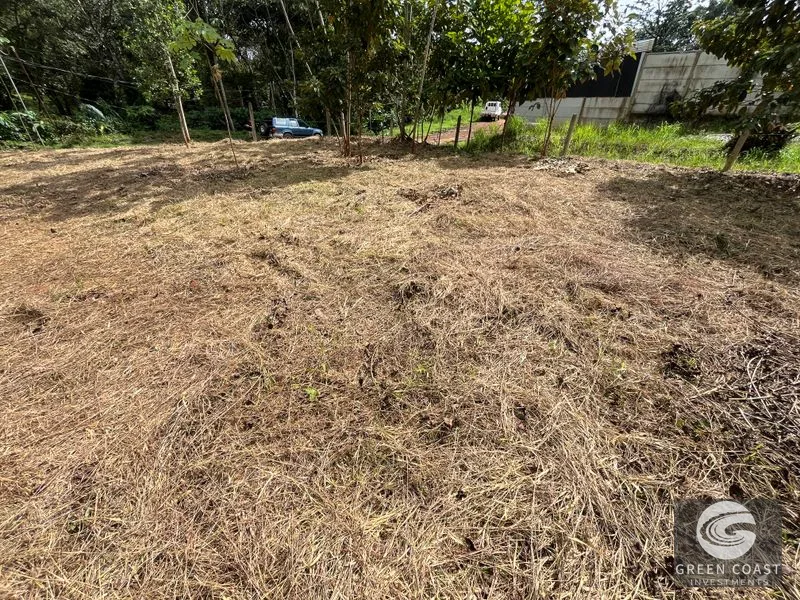 Uvita Dream Lot: Build Your Home or High-Yield Airbnb Near Amenities - Under $200/sqm! — view 15, Uvita, Uvita, Costa Rica