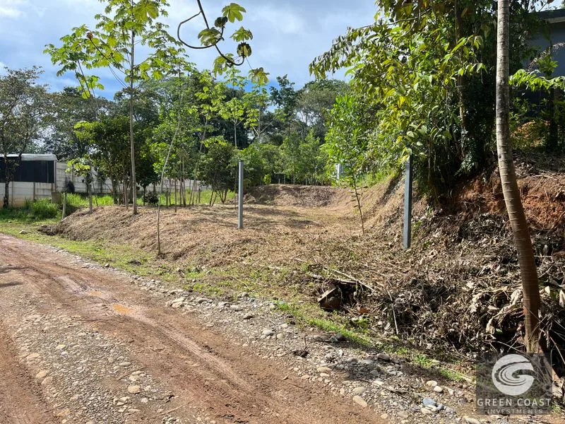 Uvita Dream Lot: Build Your Home or High-Yield Airbnb Near Amenities - Under $200/sqm! — view 18, Uvita, Uvita, Costa Rica