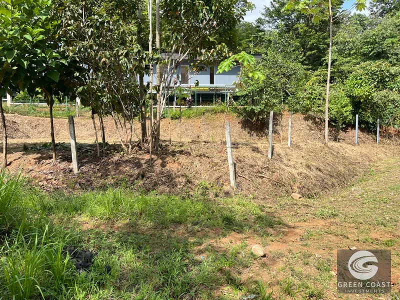 Uvita Dream Lot: Build Your Home or High-Yield Airbnb Near Amenities - Under $200/sqm! — view 19, Uvita, Uvita, Costa Rica
