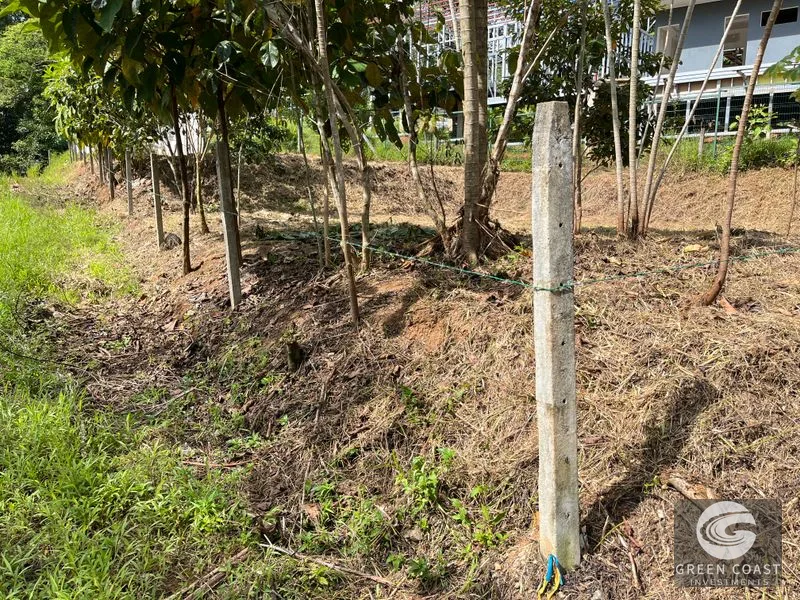 Uvita Dream Lot: Build Your Home or High-Yield Airbnb Near Amenities - Under $200/sqm! — view 20, Uvita, Uvita, Costa Rica