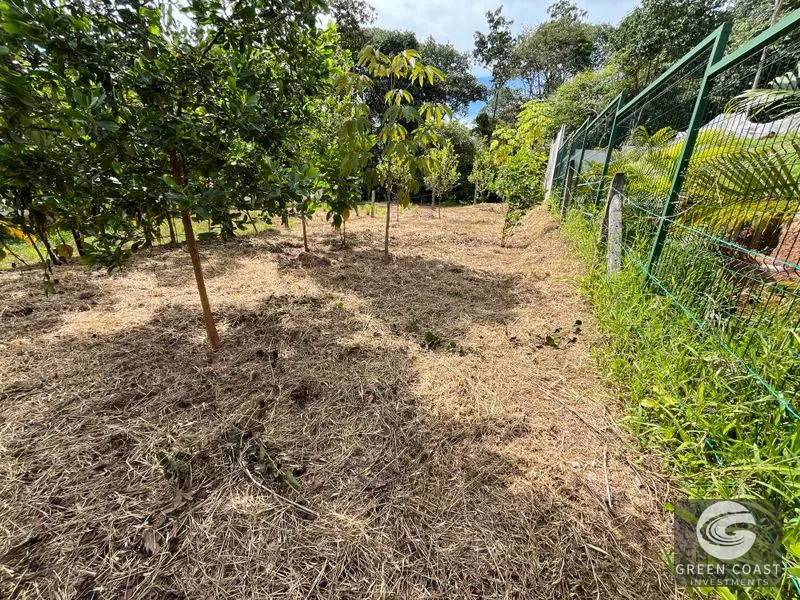 Uvita Dream Lot: Build Your Home or High-Yield Airbnb Near Amenities - Under $200/sqm! — view 21, Uvita, Uvita, Costa Rica