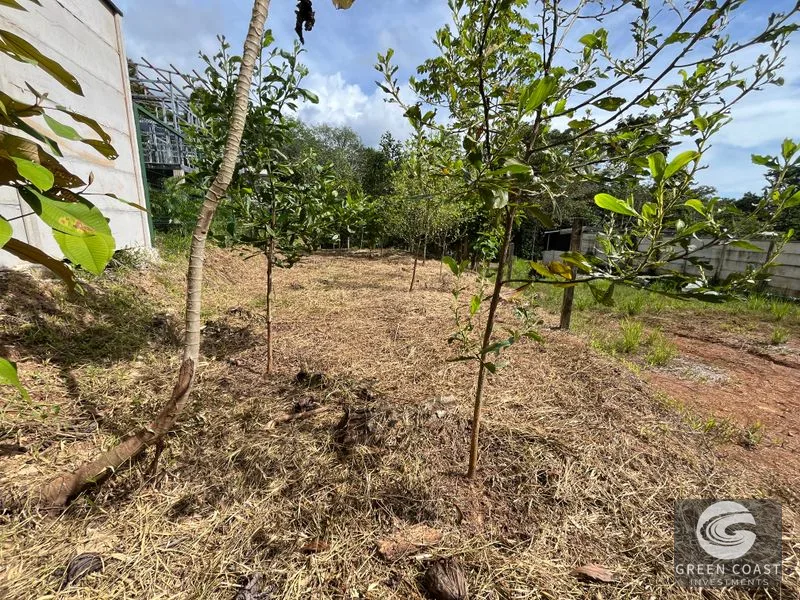 Uvita Dream Lot: Build Your Home or High-Yield Airbnb Near Amenities - Under $200/sqm! — view 22, Uvita, Uvita, Costa Rica