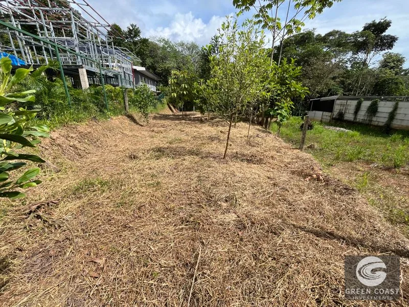Uvita Dream Lot: Build Your Home or High-Yield Airbnb Near Amenities - Under $200/sqm! — view 23, Uvita, Uvita, Costa Rica