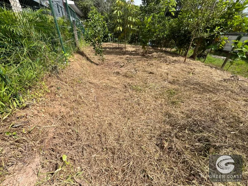 Uvita Dream Lot: Build Your Home or High-Yield Airbnb Near Amenities - Under $200/sqm! — view 24, Uvita, Uvita, Costa Rica