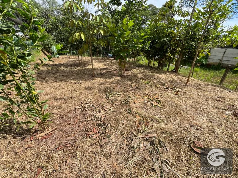 Uvita Dream Lot: Build Your Home or High-Yield Airbnb Near Amenities - Under $200/sqm! — view 25, Uvita, Uvita, Costa Rica