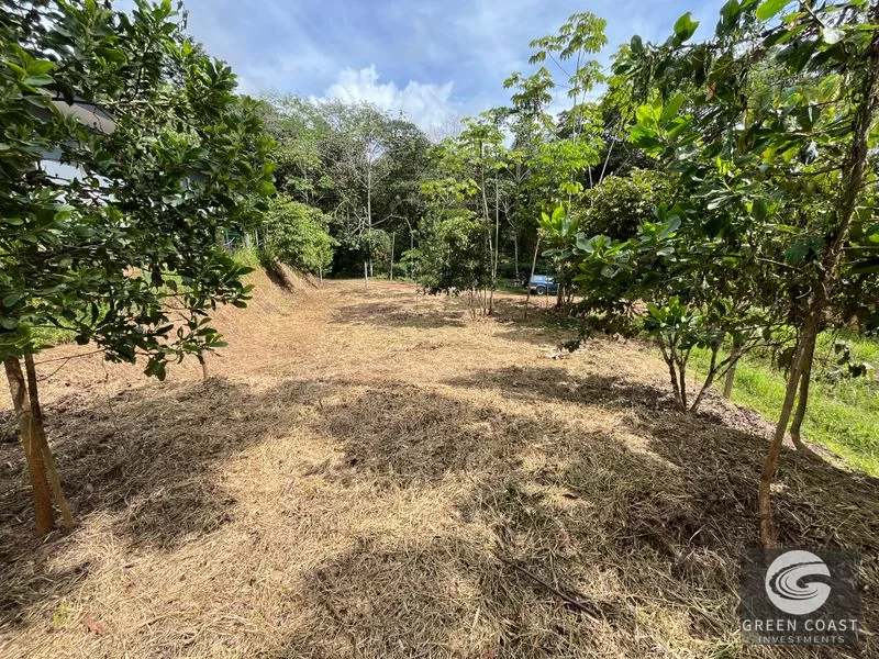 Uvita Dream Lot: Build Your Home or High-Yield Airbnb Near Amenities - Under $200/sqm! — view 26, Uvita, Uvita, Costa Rica