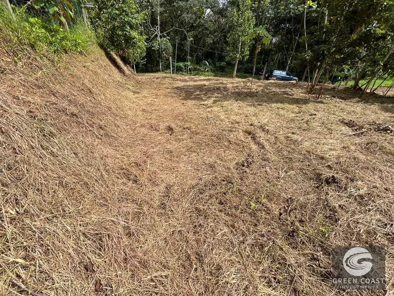 Uvita Dream Lot: Build Your Home or High-Yield Airbnb Near Amenities - Under $200/sqm! — view 27, Uvita, Uvita, Costa Rica