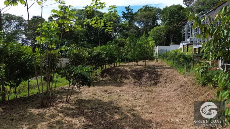 Uvita Dream Lot: Build Your Home or High-Yield Airbnb Near Amenities - Under $200/sqm! — view 29, Uvita, Uvita, Costa Rica