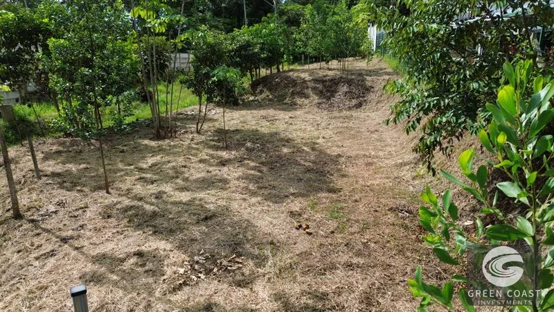 Uvita Dream Lot: Build Your Home or High-Yield Airbnb Near Amenities - Under $200/sqm! — view 30, Uvita, Uvita, Costa Rica